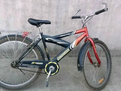 Thick Tyres Wali Bicycle for Sale